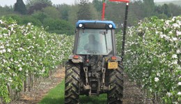 A review of the most cost effective and efficient methods of thinning tree fruit crops in order to improve fruit quality and identify approaches of further development